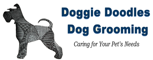 Doodle groomer discount